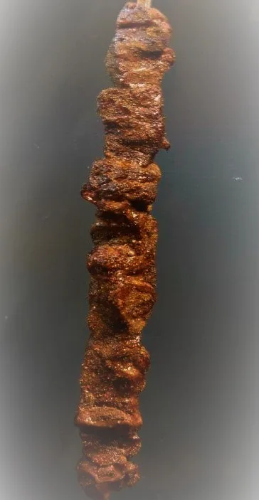 Olho de costela