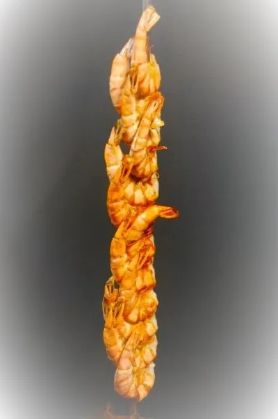 Scampi